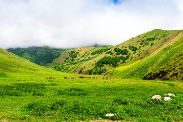 Similar image 22129564