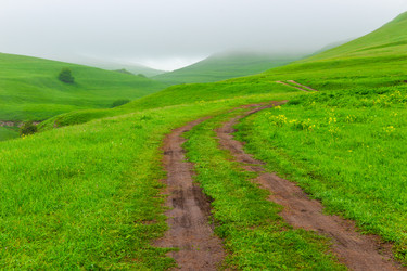 Similar image 22129586