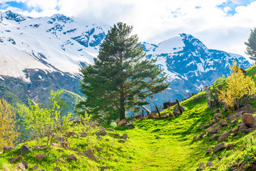 Similar image 22129588