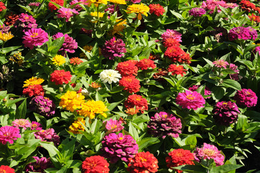 Similar image 22128765