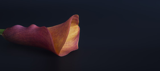 Similar image 22128767