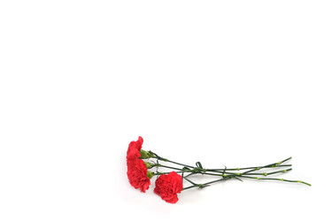 Similar image 22128768