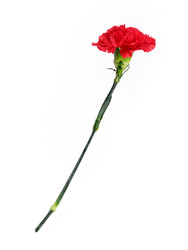 Similar image 22128769