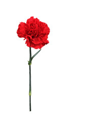 Similar image 22128770