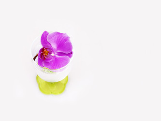 Similar image 22128772