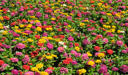 Similar image 22128773