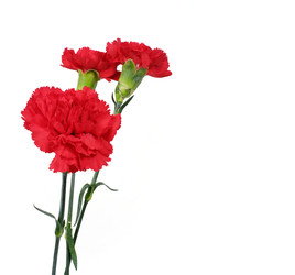 Similar image 22128777