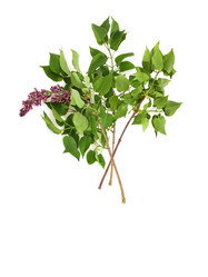 Similar image 22128778