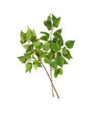 Similar image 22128779