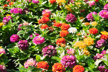 Similar image 22128780