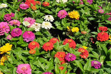 Similar image 22128781