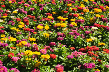 Similar image 22128784