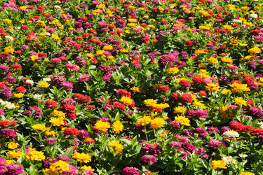 Similar image 22128786