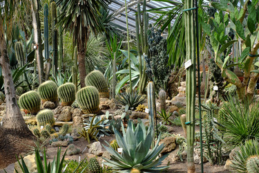 Similar image 22128787