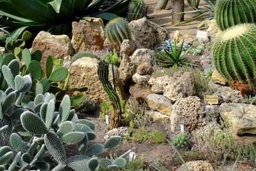 Similar image 22128788