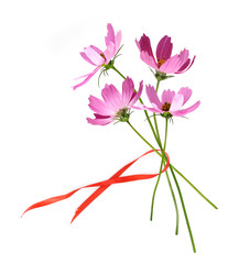 Similar image 22128789