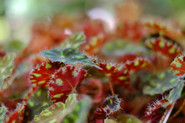 Similar image 22128791