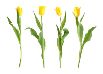 Similar image 22128792