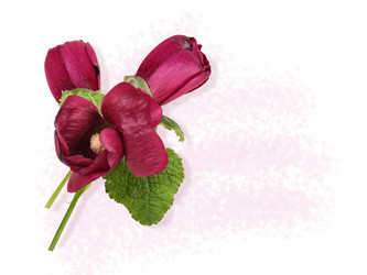 Similar image 22128793