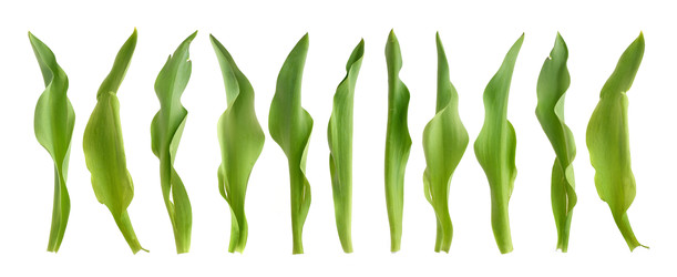 Similar image 22128797