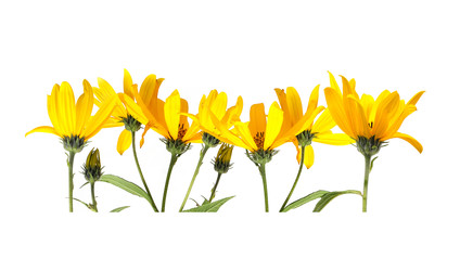 Similar image 22128798