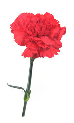 Similar image 22128799