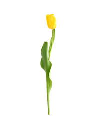 Similar image 22128800