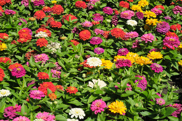 Similar image 22128801