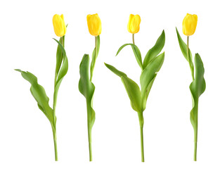 Similar image 22128803