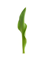 Similar image 22128807