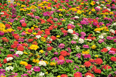 Similar image 22128808