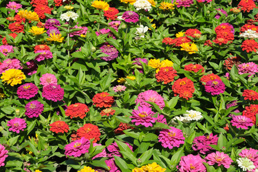 Similar image 22128810