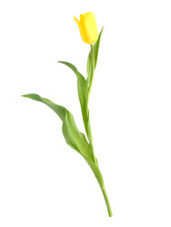 Similar image 22128811