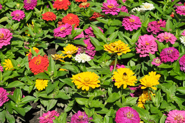 Similar image 22128812