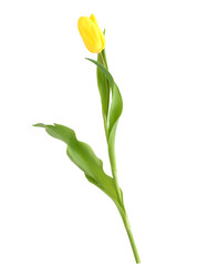 Similar image 22128813