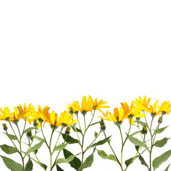 Similar image 22128814