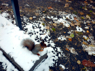 Similar image 22131387