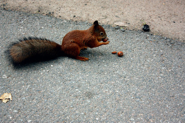 Similar image 22129295