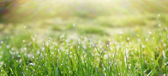 Similar image 22131560