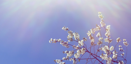 Similar image 22131564