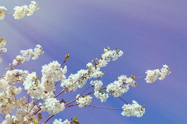 Similar image 22131565