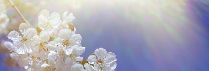 Similar image 22131570