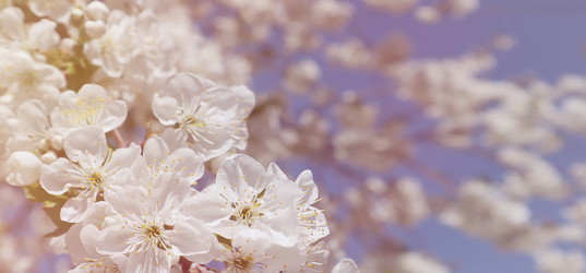 Similar image 22131573