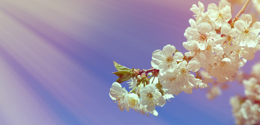 Similar image 22131574