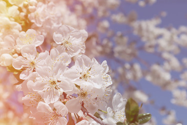 Similar image 22131575