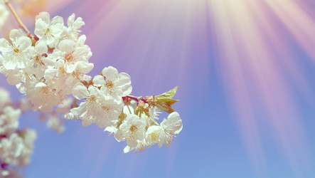 Similar image 22131726