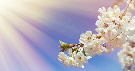 Similar image 22131727