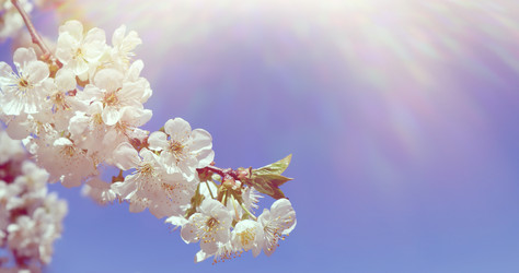 Similar image 22131729