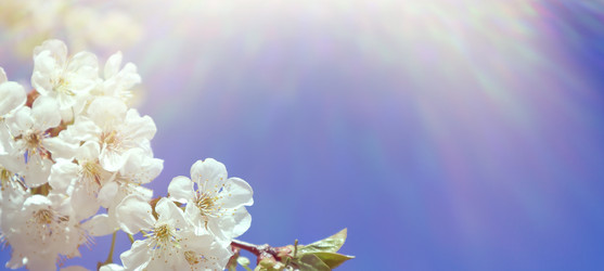 Similar image 22131812