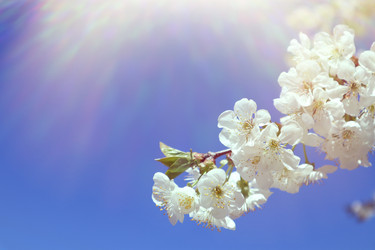 Similar image 22131815